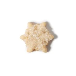 Good Grips Cookie Press Disk Set | OXO 28 Good Grips Cookie Press Disk Set | OXO -Cutlery Shop 11177800 6 snow flake decorated